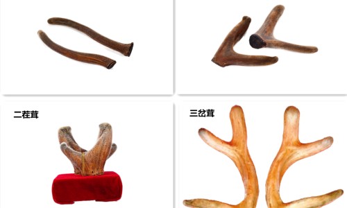 脂肪肝会导致皮肤暗沉发黑吗-脂肪肝会导致便秘吗网 - 为你提供脂肪肝会导致便秘吗女性、脂肪肝会导致肚子大吗