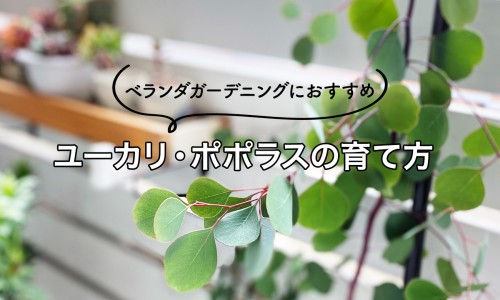 脂肪肝会导致乏力吗-脂肪肝会导致便秘吗网 - 为你提供脂肪肝会导致便秘吗女性、脂肪肝会导致肚子大吗